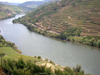 Vale do Douro